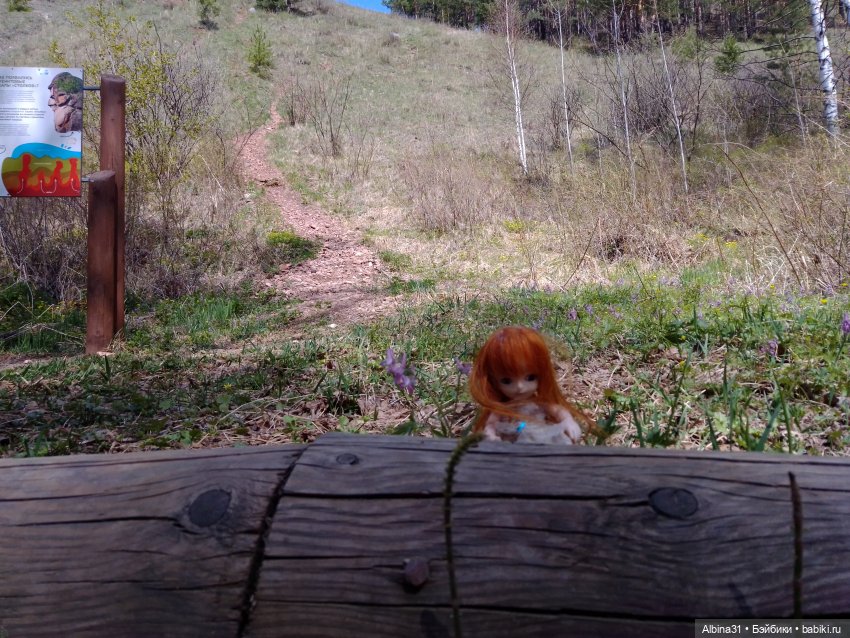 Не доходя до "Столбов" — Игровые куклы разных производителей (Разное): редкие бренды