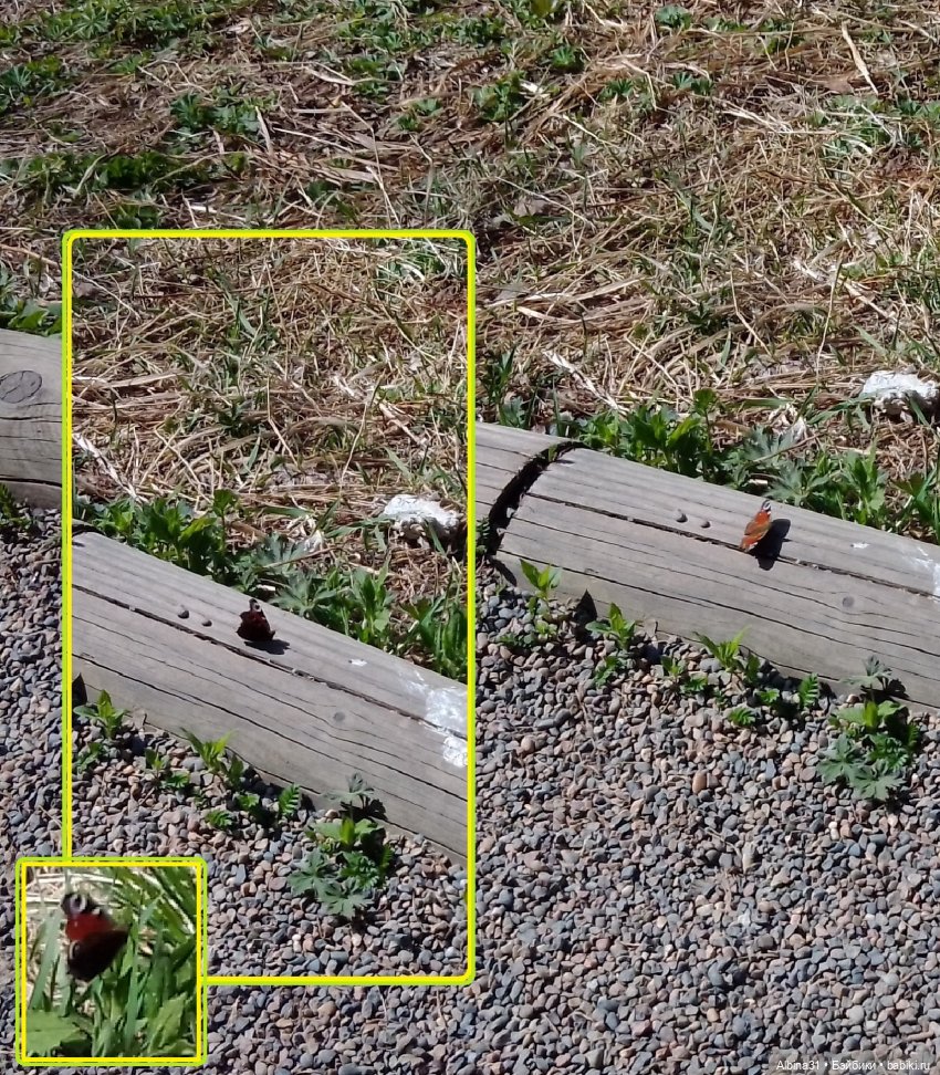 Не доходя до "Столбов" — Игровые куклы разных производителей (Разное): редкие бренды