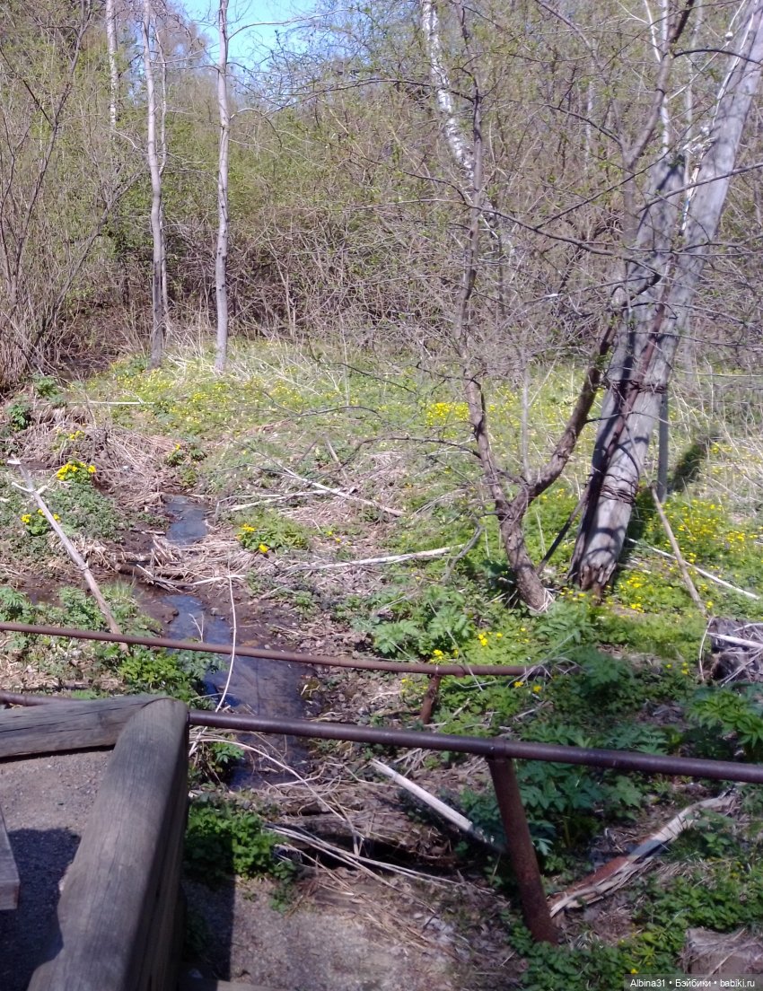 Не доходя до "Столбов" — Игровые куклы разных производителей (Разное): редкие бренды