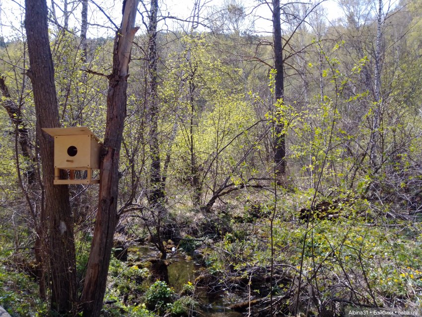 Не доходя до "Столбов" — Игровые куклы разных производителей (Разное): редкие бренды