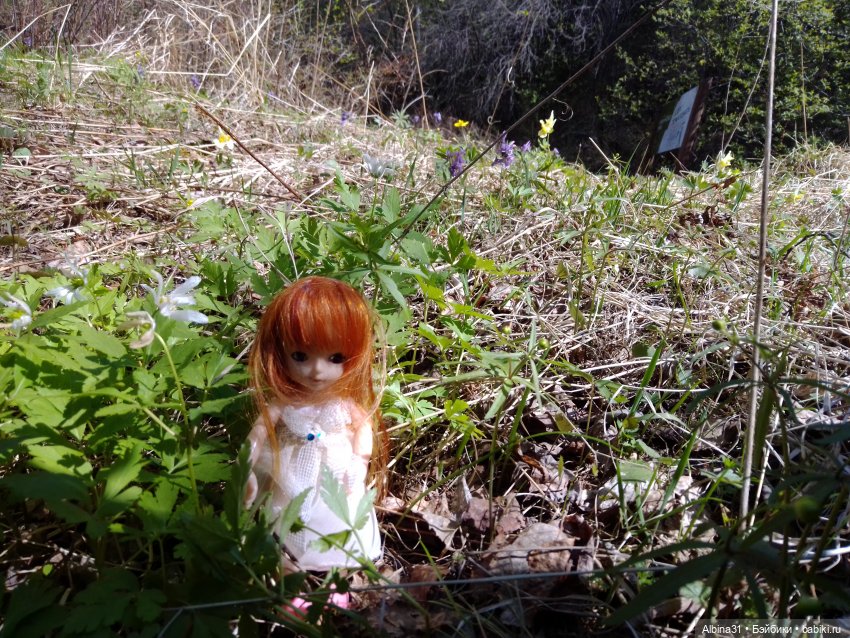 Не доходя до "Столбов" — Игровые куклы разных производителей (Разное): редкие бренды