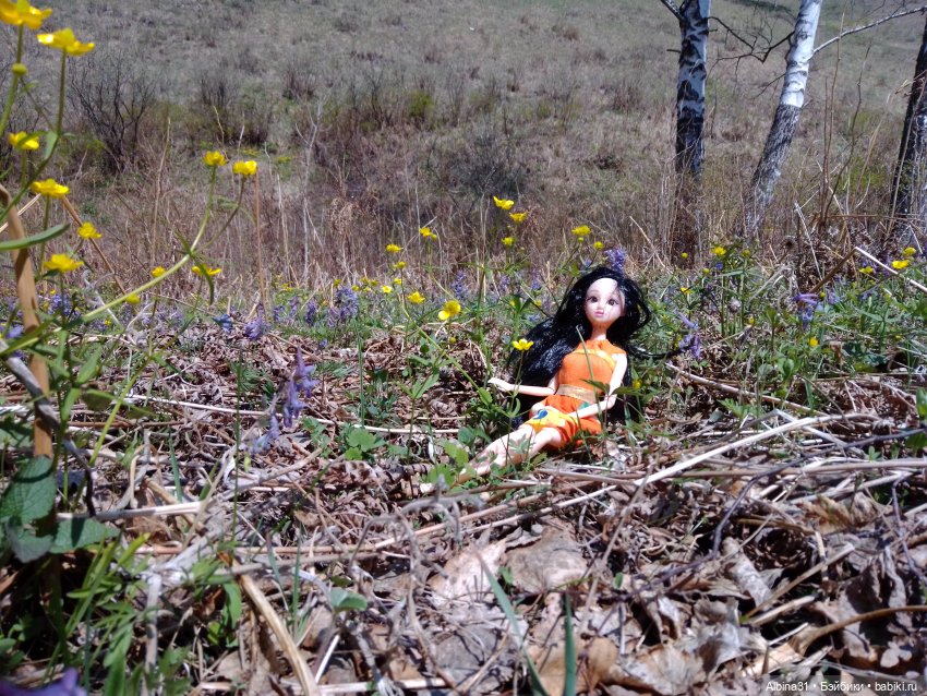 Не доходя до "Столбов" — Игровые куклы разных производителей (Разное): редкие бренды