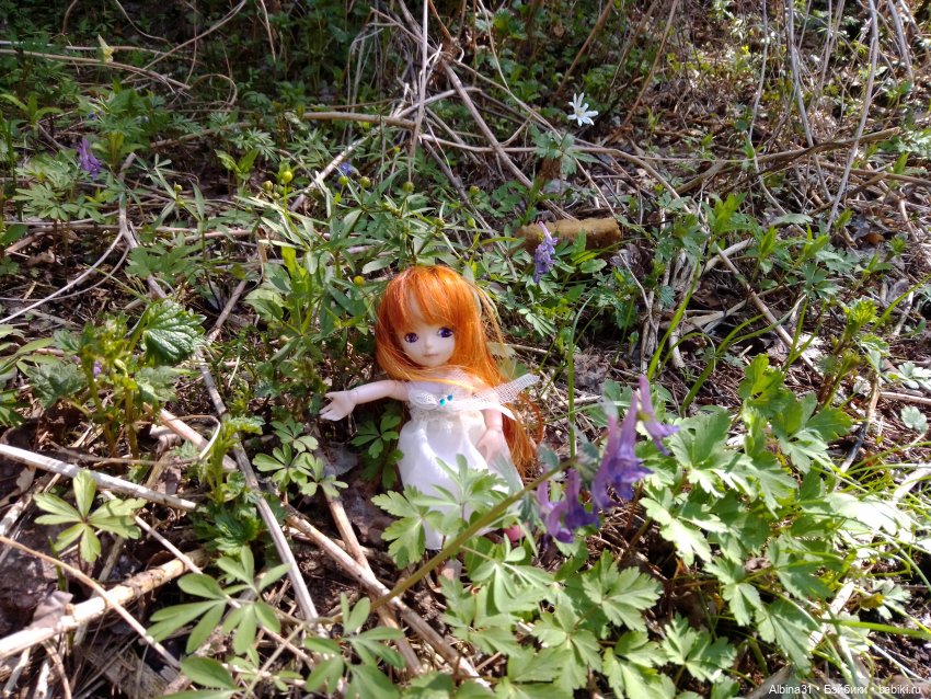 Не доходя до "Столбов" — Игровые куклы разных производителей (Разное): редкие бренды