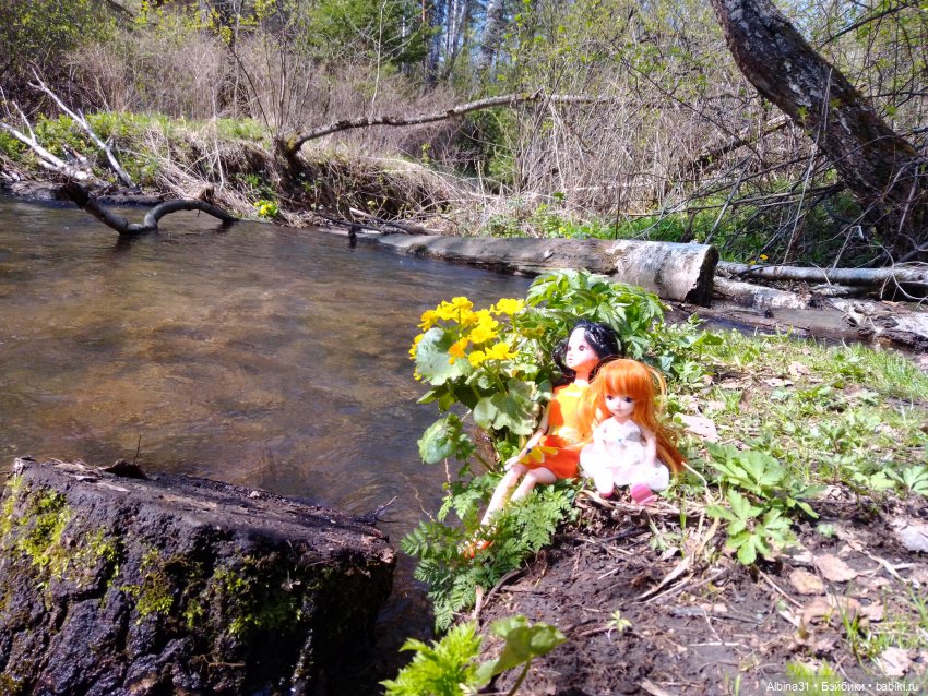 Не доходя до "Столбов" — Игровые куклы разных производителей (Разное): редкие бренды