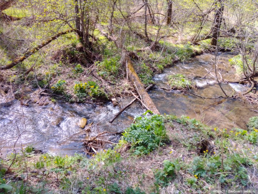 Не доходя до "Столбов" — Игровые куклы разных производителей (Разное): редкие бренды