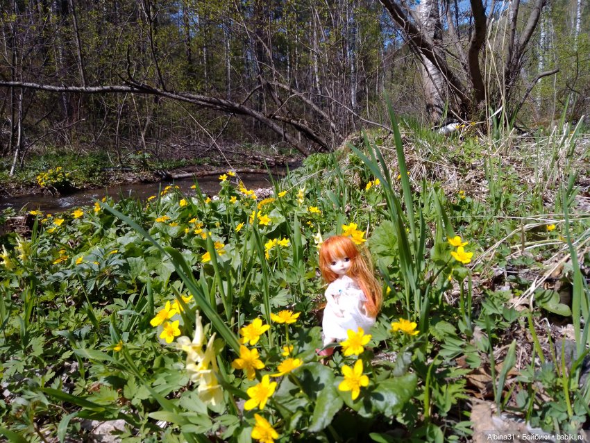 Не доходя до "Столбов" — Игровые куклы разных производителей (Разное): редкие бренды