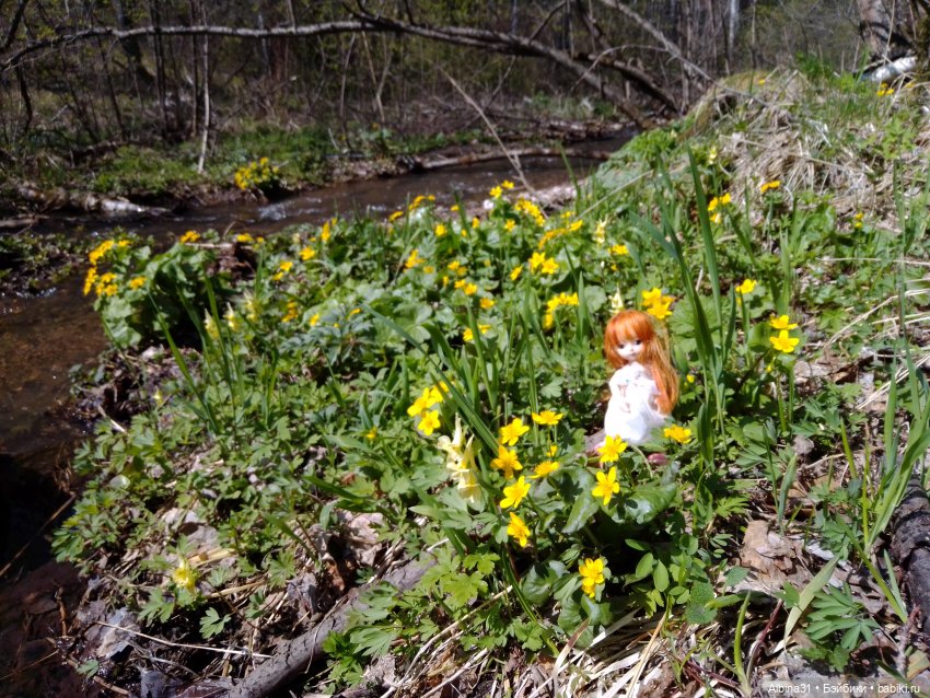 Не доходя до "Столбов" — Игровые куклы разных производителей (Разное): редкие бренды