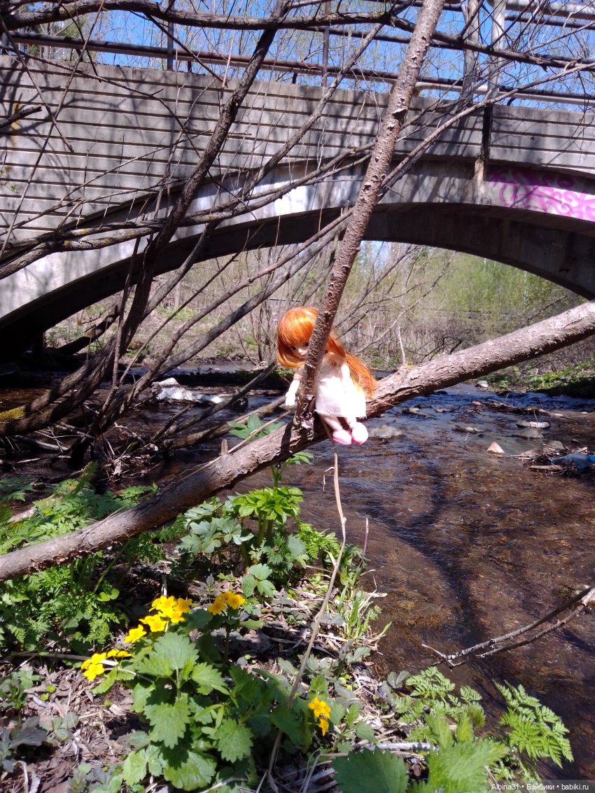 Не доходя до "Столбов" — Игровые куклы разных производителей (Разное): редкие бренды