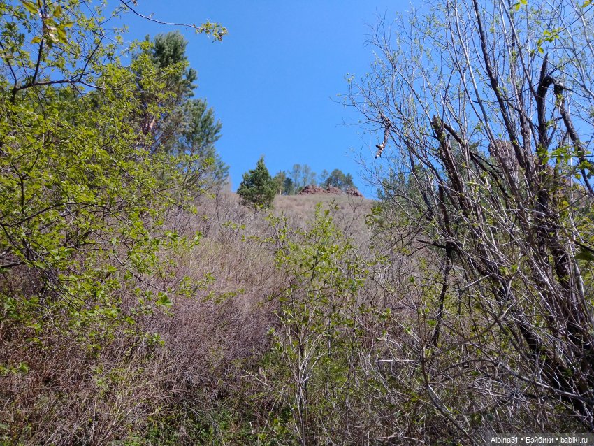 Не доходя до "Столбов" — Игровые куклы разных производителей (Разное): редкие бренды