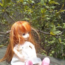 Не доходя до "Столбов"