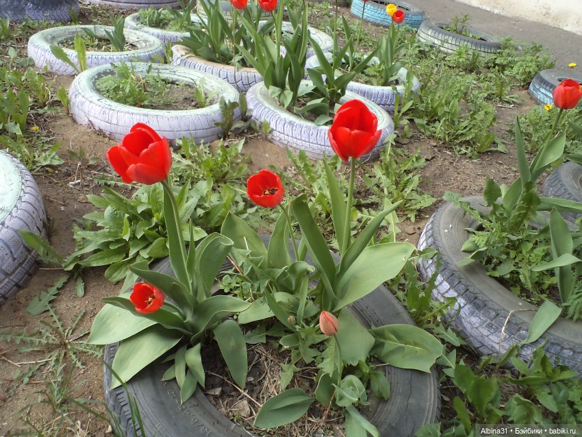 Был месяц май... 2023 год