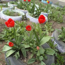 Был месяц май... 2023 год