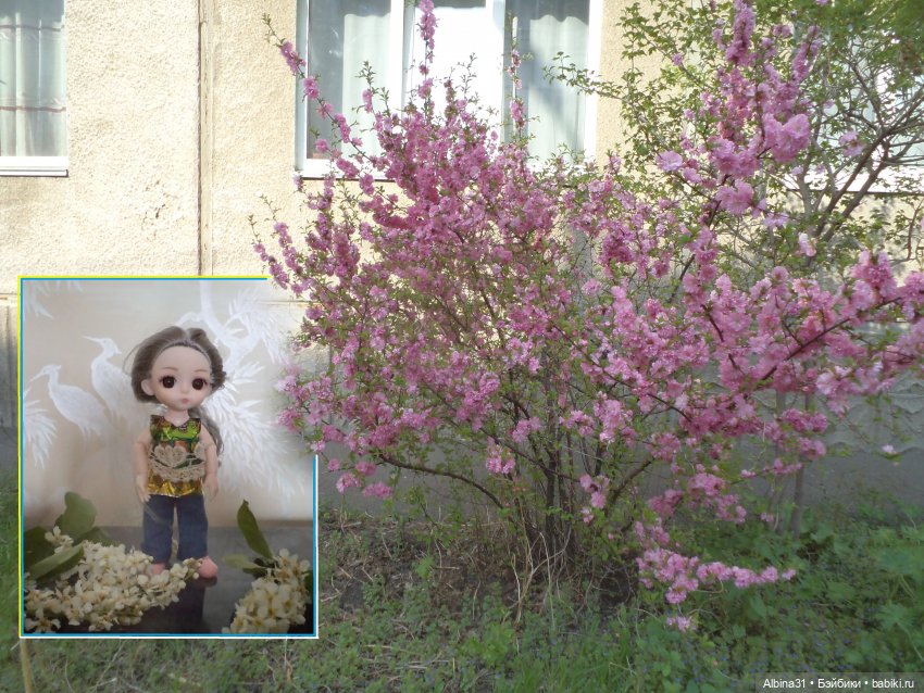 Был месяц май... 2023 год (фото 4)