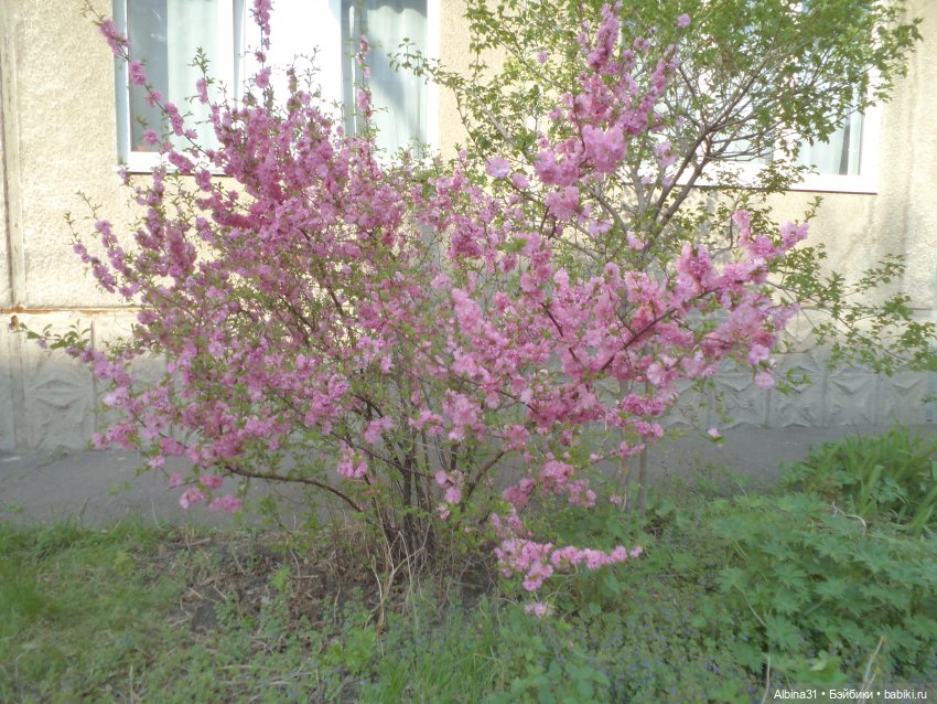 Был месяц май... 2023 год (фото 5)