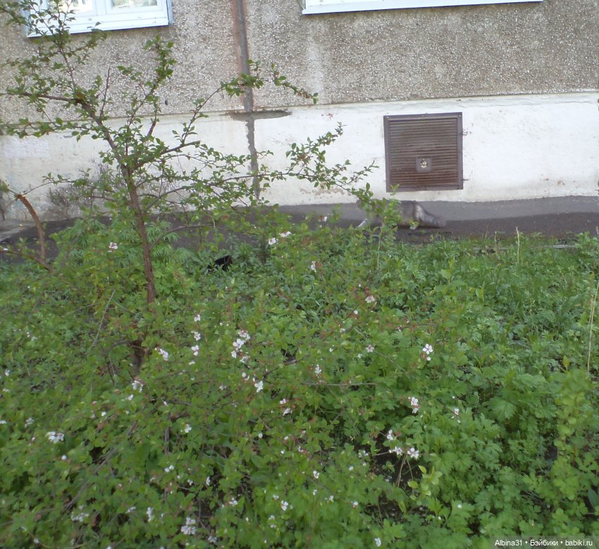 Был месяц май... 2023 год