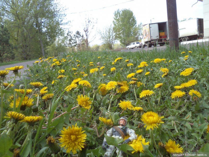 Был месяц май... 2023 год (фото 9)