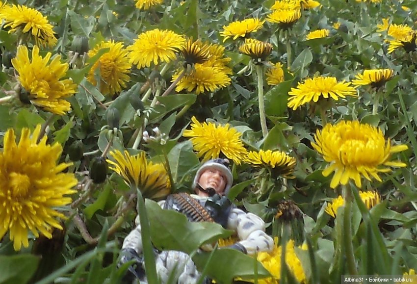 Был месяц май... 2023 год (фото 10)