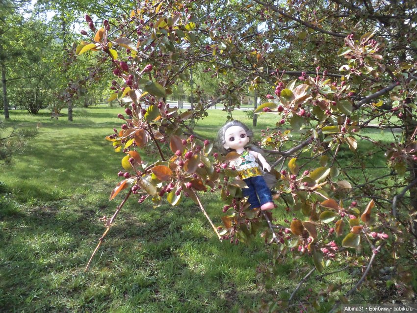 Был месяц май... 2023 год