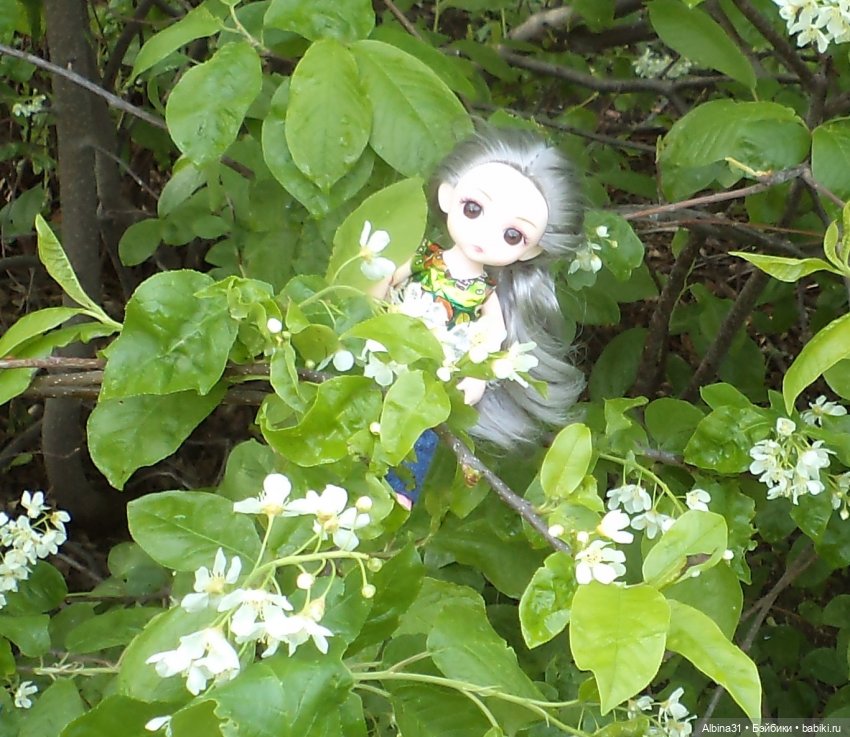 Был месяц май... 2023 год