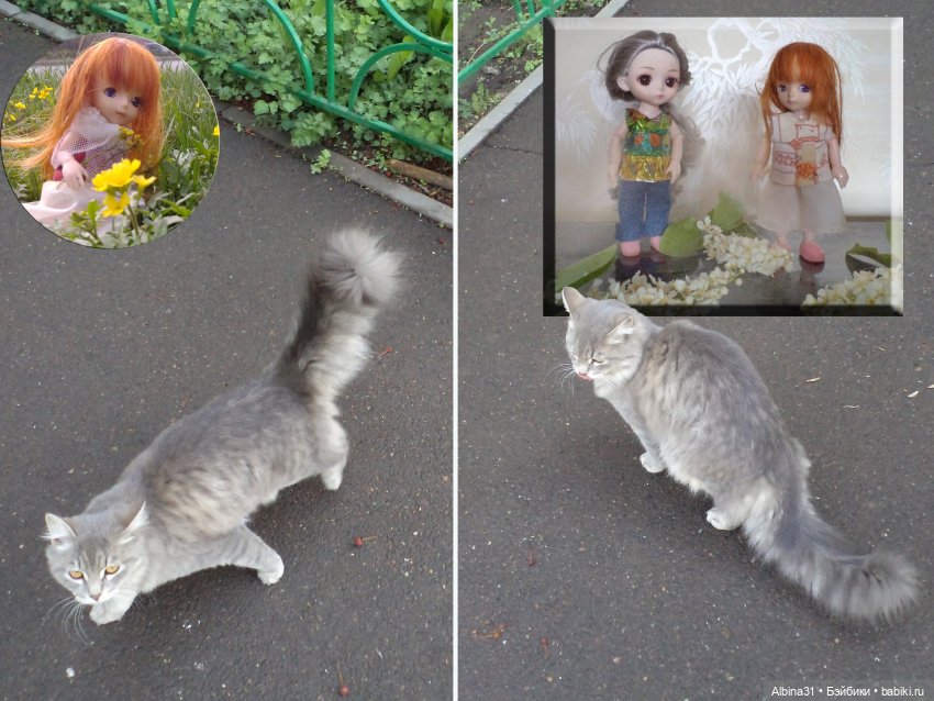 Был месяц май... 2023 год