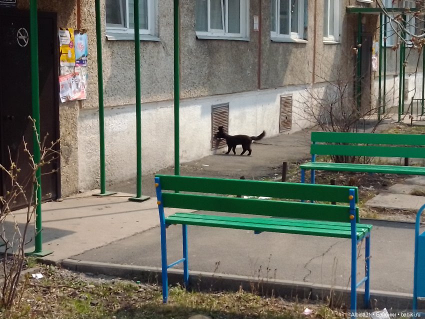 Был месяц май... 2023 год (фото 7)