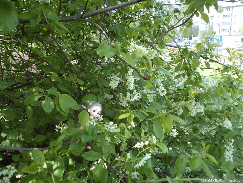 Был месяц май... 2023 год