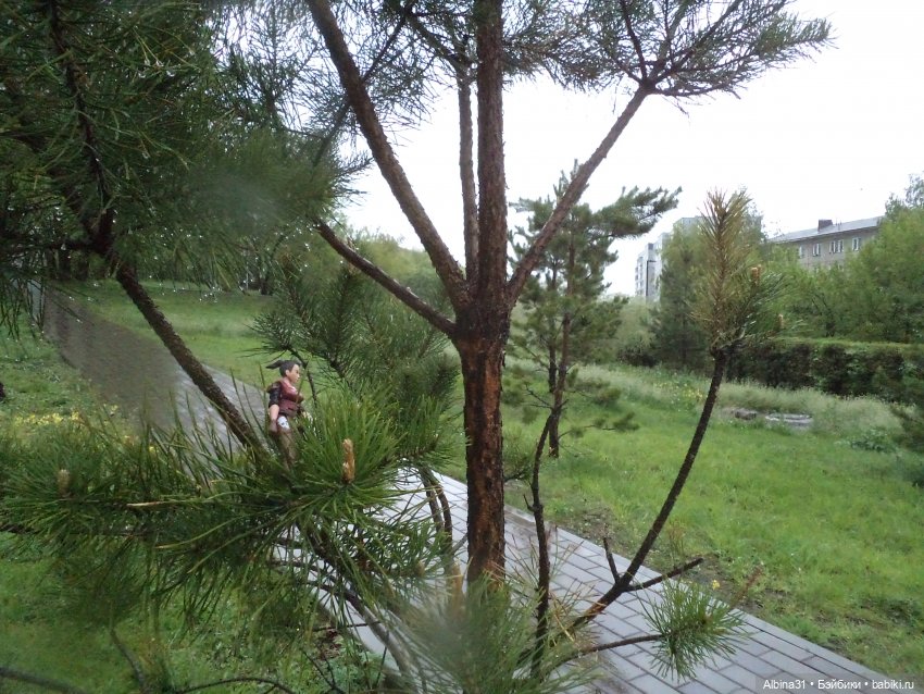 Был месяц май... 2023 год