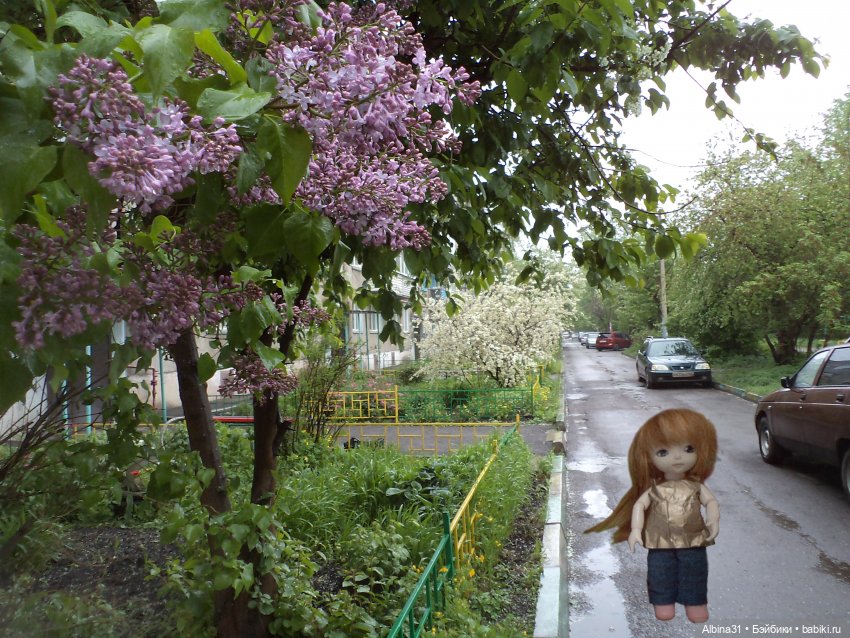 Был месяц май... 2023 год