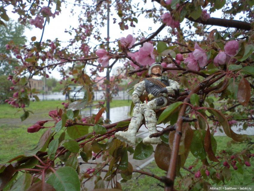 Был месяц май... 2023 год