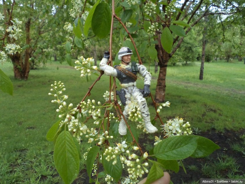 Был месяц май... 2023 год