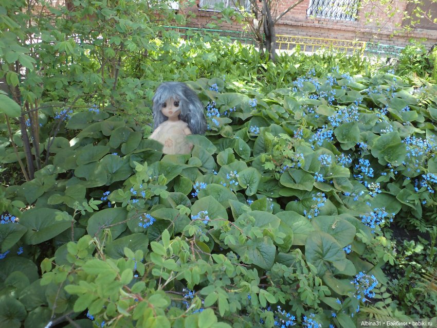 Был месяц май... 2023 год