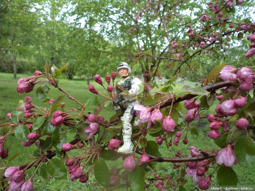 Был месяц май... 2023 год