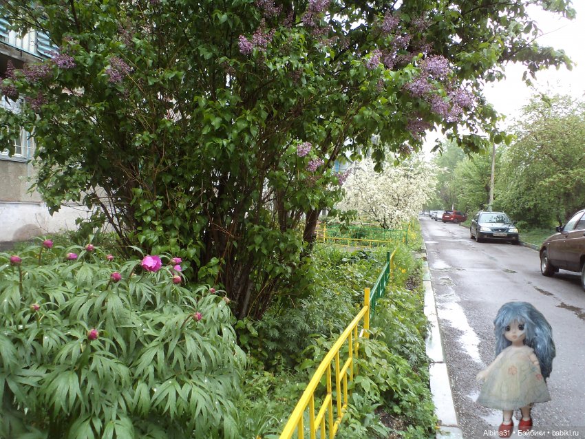 Был месяц май... 2023 год