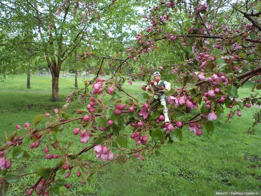 Был месяц май... 2023 год