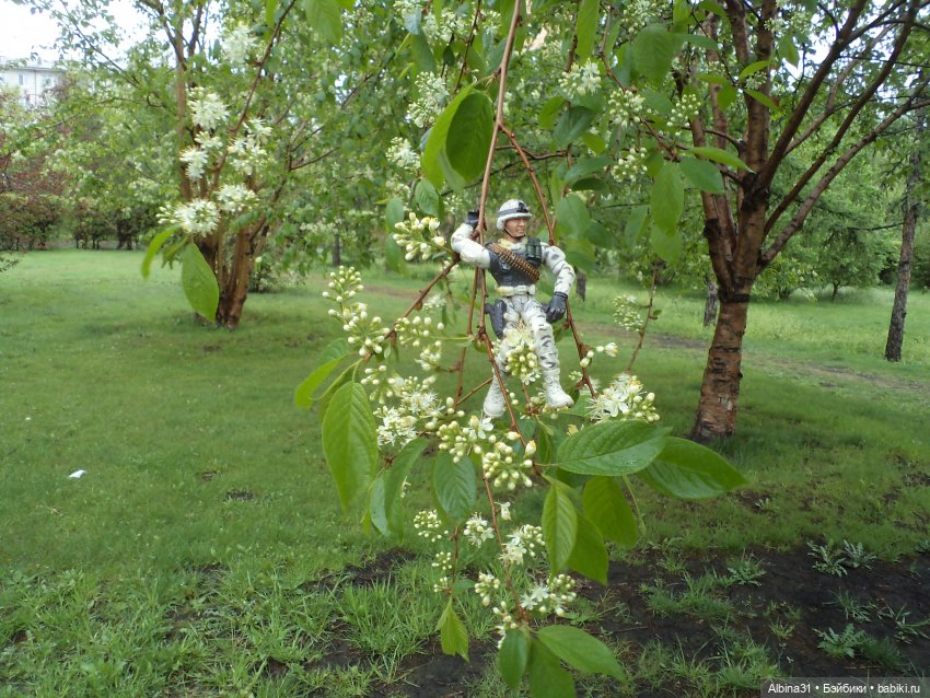 Был месяц май... 2023 год