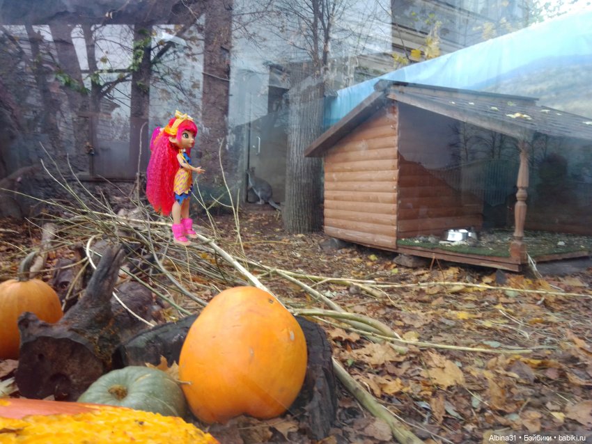 Два зоопарка. Московский — Игровые куклы разных производителей (Разное): редкие бренды