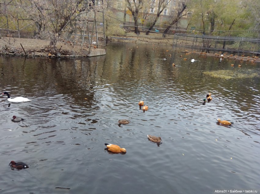 Два зоопарка. Московский — Игровые куклы разных производителей (Разное): редкие бренды