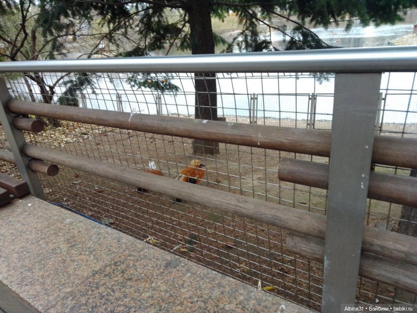 Два зоопарка. Московский — Игровые куклы разных производителей (Разное): редкие бренды (фото 5)