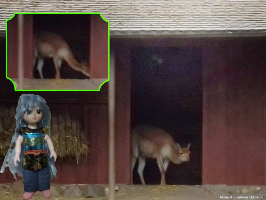 Два зоопарка. Московский — Игровые куклы разных производителей (Разное): редкие бренды (фото 3)