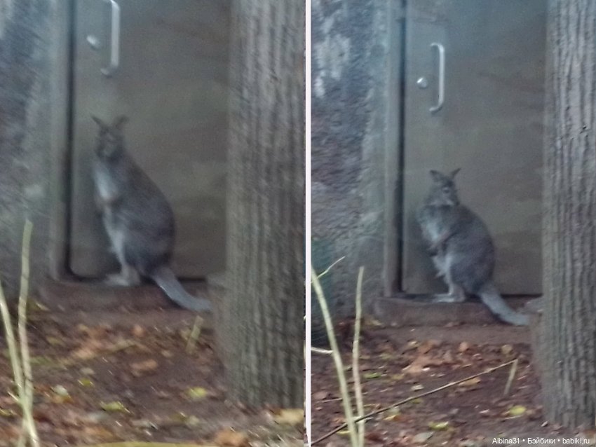 Два зоопарка. Московский — Игровые куклы разных производителей (Разное): редкие бренды