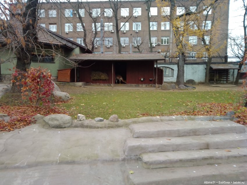 Два зоопарка. Московский — Игровые куклы разных производителей (Разное): редкие бренды