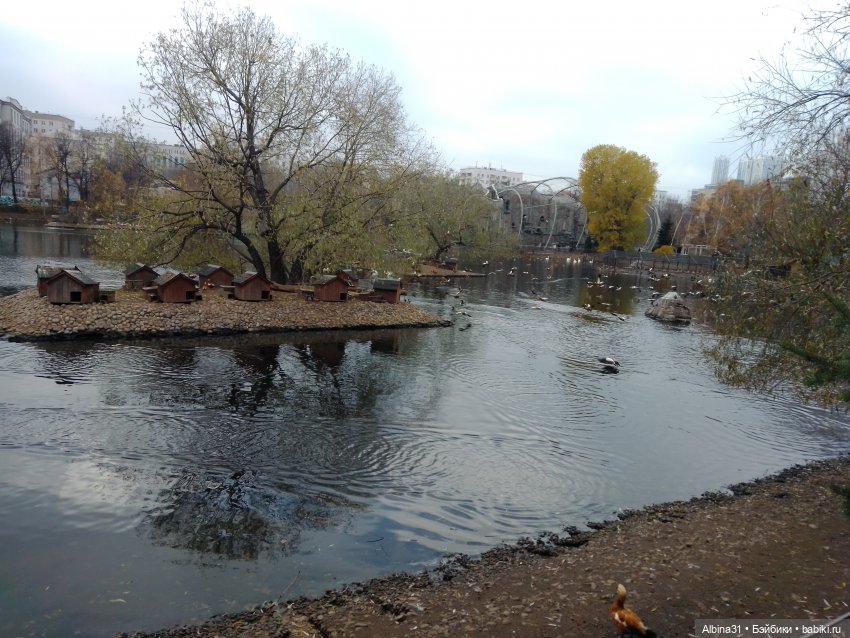 Два зоопарка. Московский — Игровые куклы разных производителей (Разное): редкие бренды (фото 6)