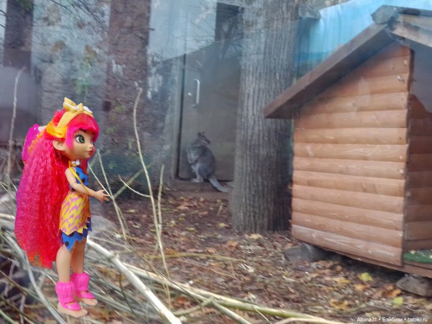 Два зоопарка. Московский — Игровые куклы разных производителей (Разное): редкие бренды