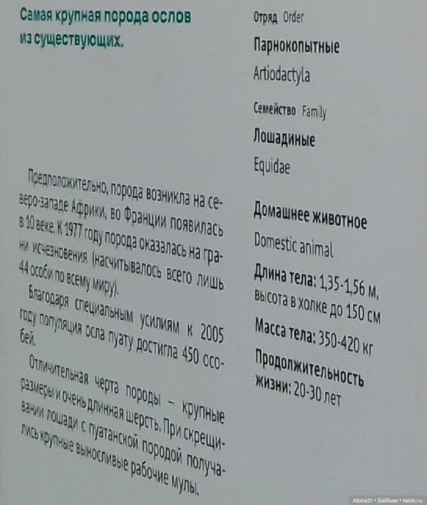 Два зоопарка. Московский — Игровые куклы разных производителей (Разное): редкие бренды