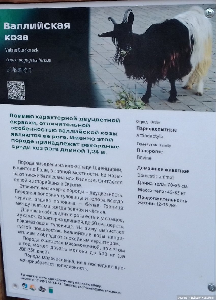 Два зоопарка. Московский — Игровые куклы разных производителей (Разное): редкие бренды