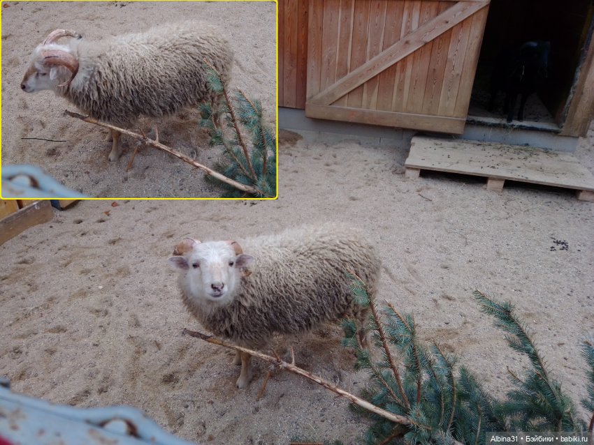 Два зоопарка. Московский — Игровые куклы разных производителей (Разное): редкие бренды