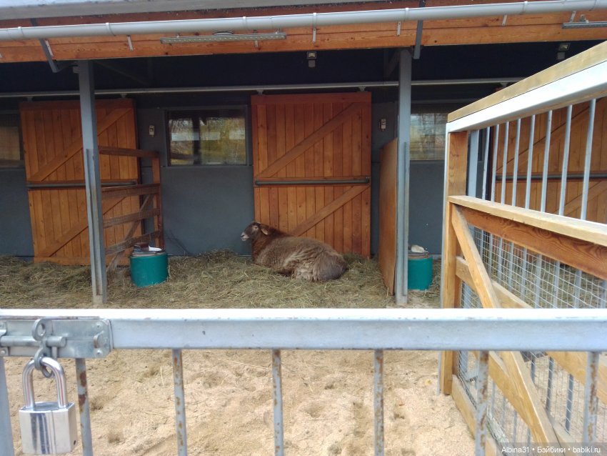 Два зоопарка. Московский — Игровые куклы разных производителей (Разное): редкие бренды