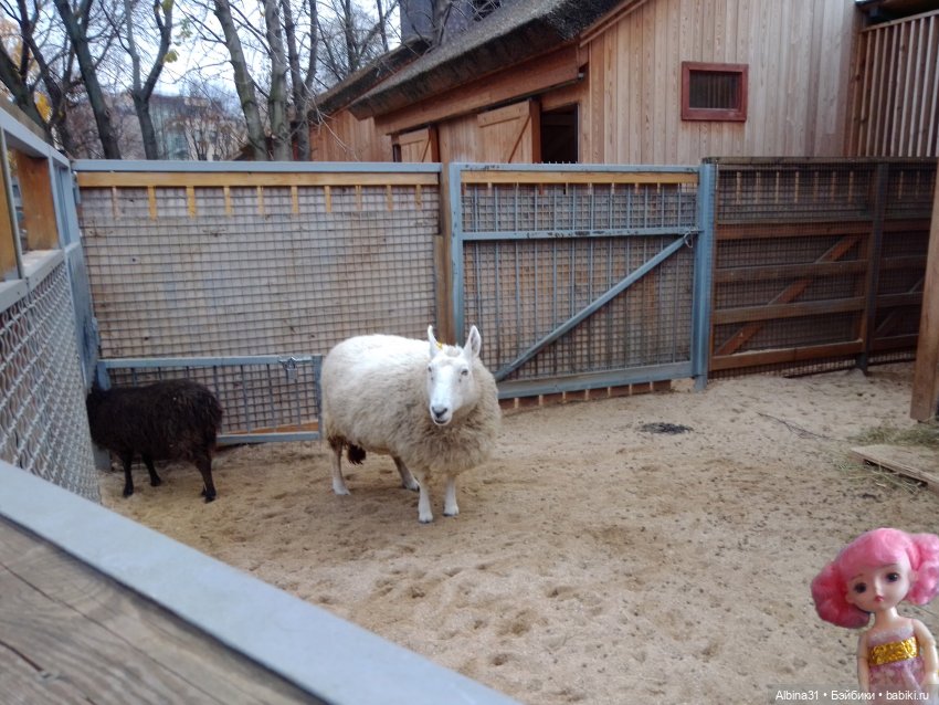 Два зоопарка. Московский — Игровые куклы разных производителей (Разное): редкие бренды