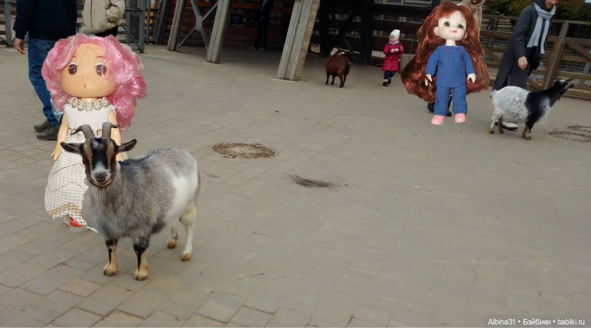 Два зоопарка. Московский — Игровые куклы разных производителей (Разное): редкие бренды