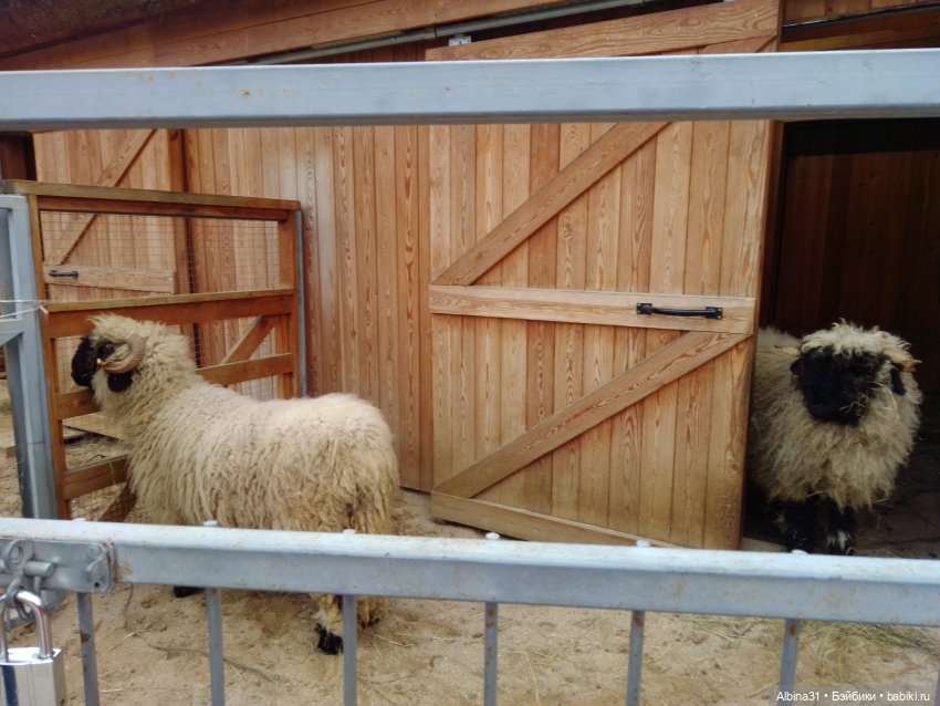 Два зоопарка. Московский — Игровые куклы разных производителей (Разное): редкие бренды